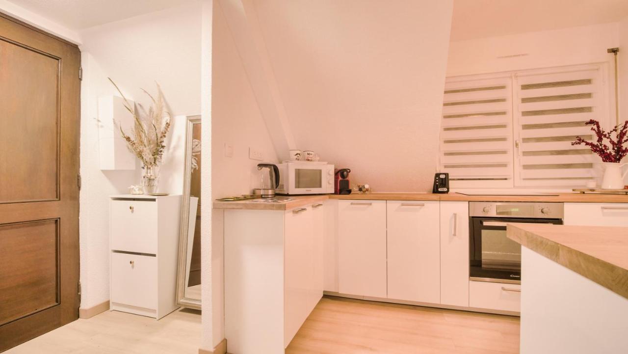 Superbe appartement au coeur du Colmar Extérieur photo